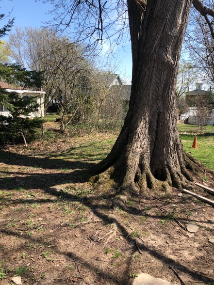 Building Photo - 206 Balsam St