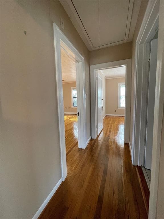 Building Photo - 2406 Brun St