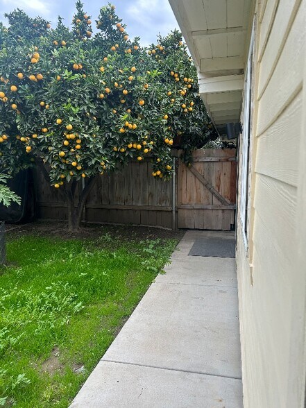 Building Photo - 4443 Estada Dr