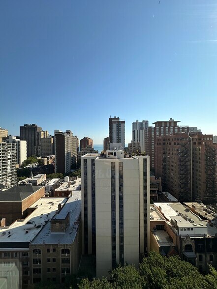 Building Photo - 1350 N Dearborn St