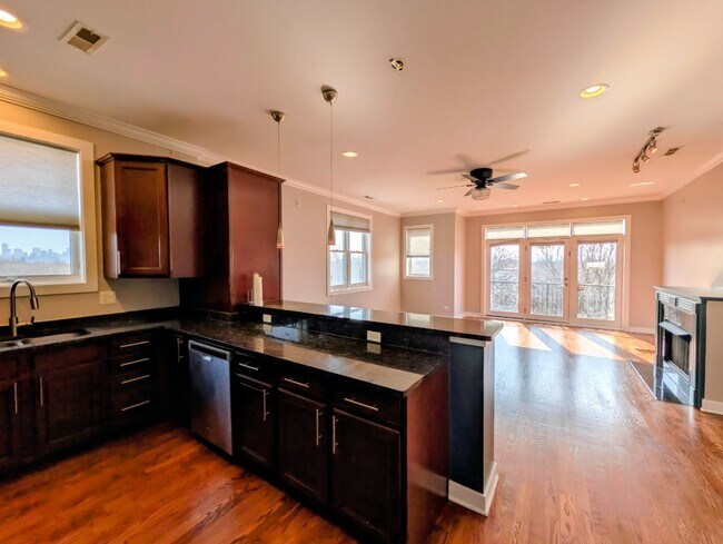 Building Photo - Incredible Humboldt Park Penthouse 2b/2b