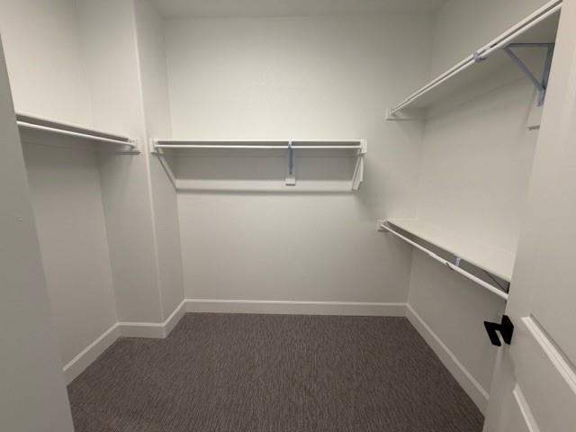 Building Photo - 324 Greenhouse Dr