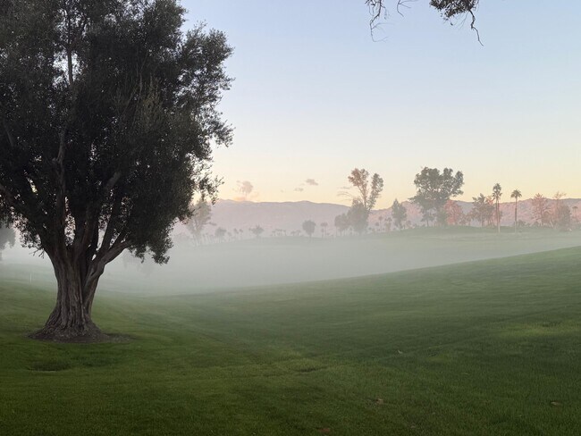 Building Photo - 289 Vista Royale Cir W