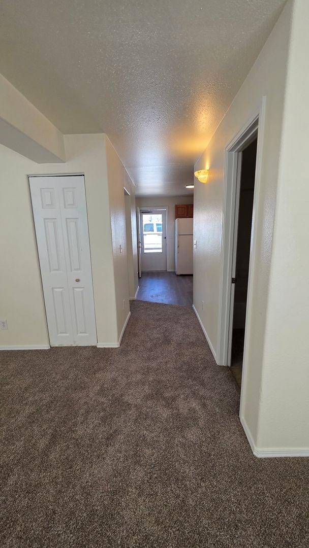 Building Photo - $1111 | 1BR/1BA | Cozy Lower Duplex Unit i...