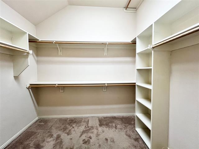 Building Photo - 9113 Trail Wood Dr