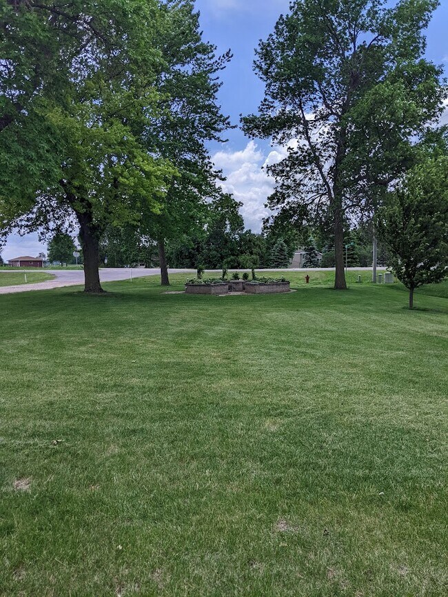 Lovely South garden view - 1012 3rd St