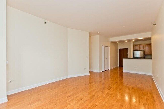Building Photo - 1 bedroom in Chicago IL 60605