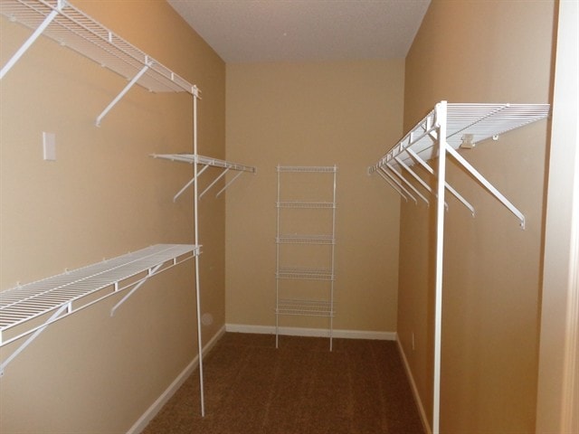 Building Photo - 5797 Savannah Pky