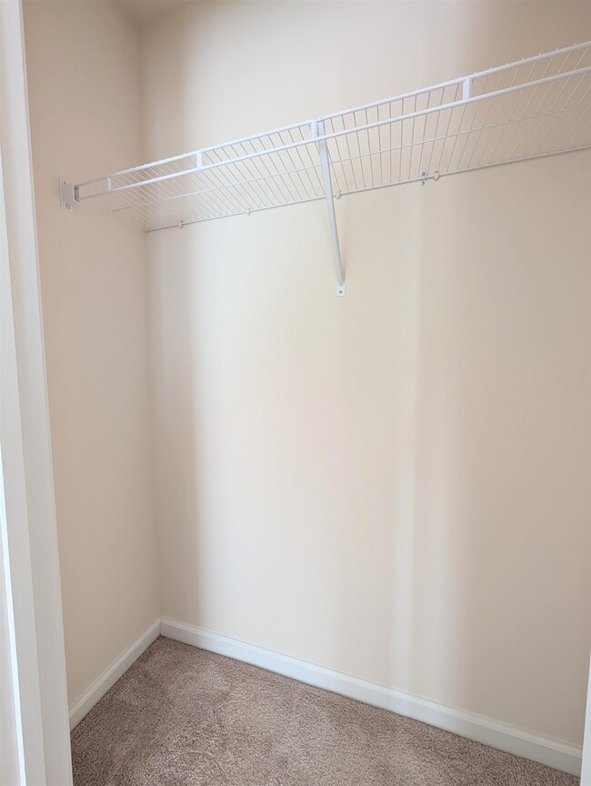 Building Photo - 869 Twickenham Lp