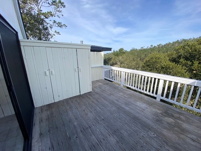 Building Photo - 24335 San Pedro Ln