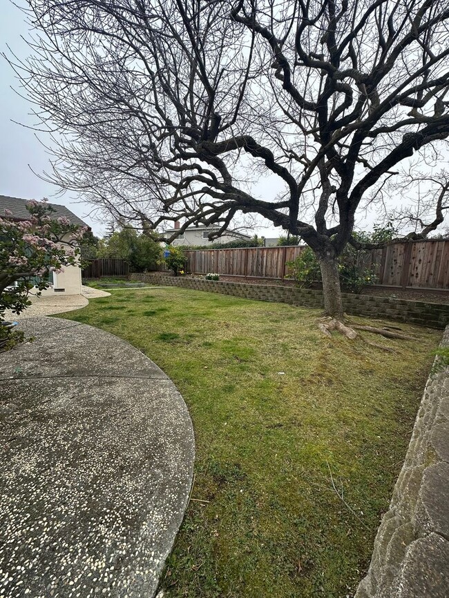 Building Photo - Cupertino Home, ready for move in!