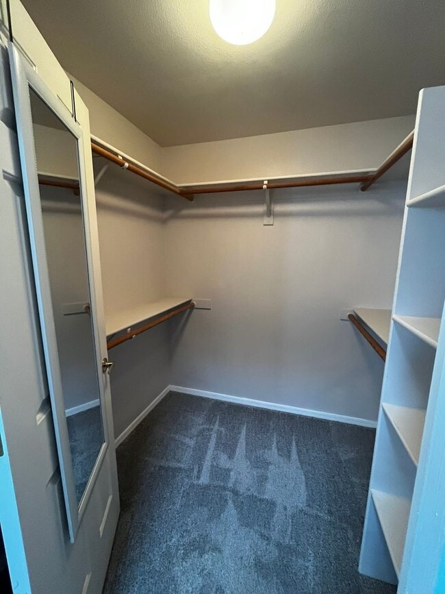 Building Photo - 3 Bedroom - 2 Bath - POOL HOME