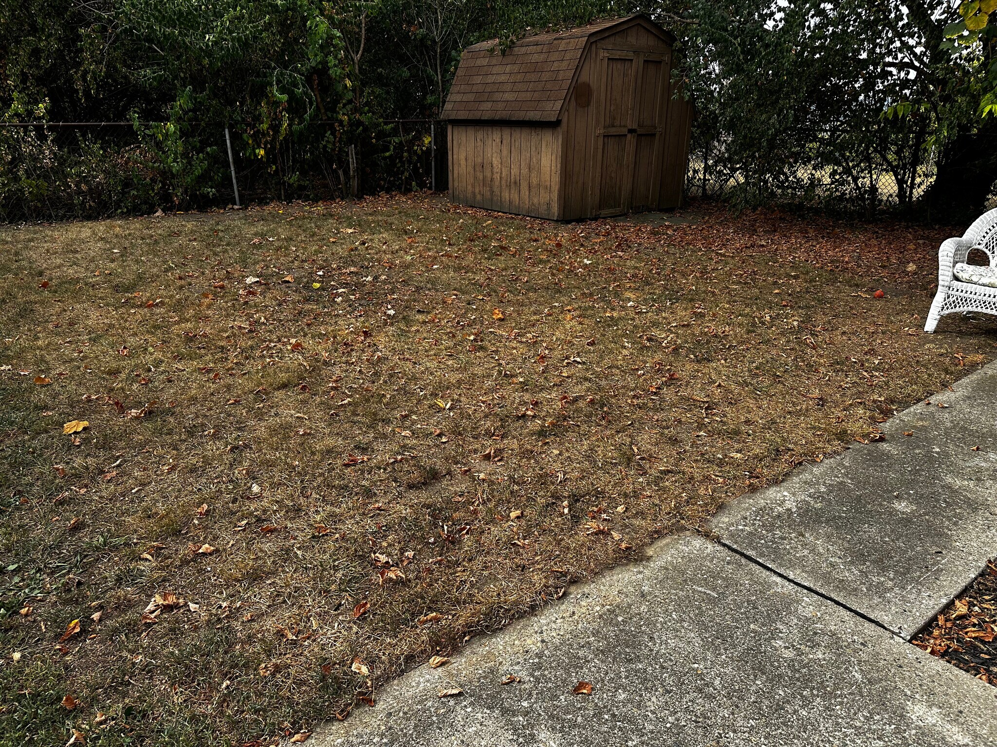 Fenced back yard - 2533 Valley View Ct