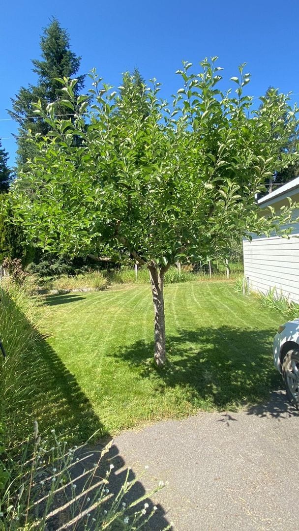 Building Photo - Lakeview Property in Hauser; Utilities Included