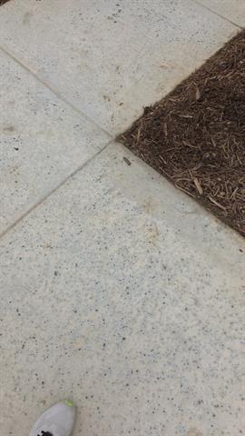 Building Photo - 916 Lost Mine Trl