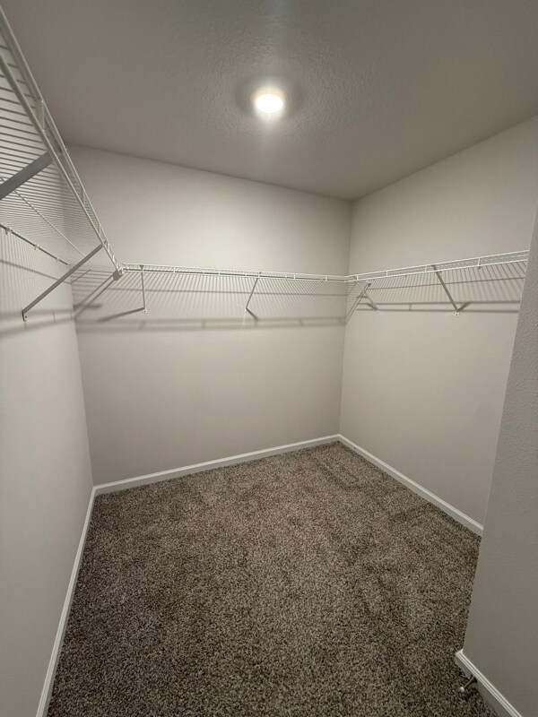 Building Photo - 904 Sandbar Loop