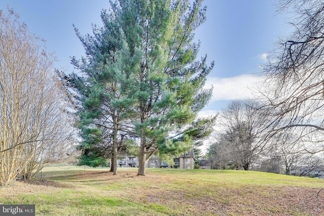 Building Photo - 5769 Yellowrose Ct