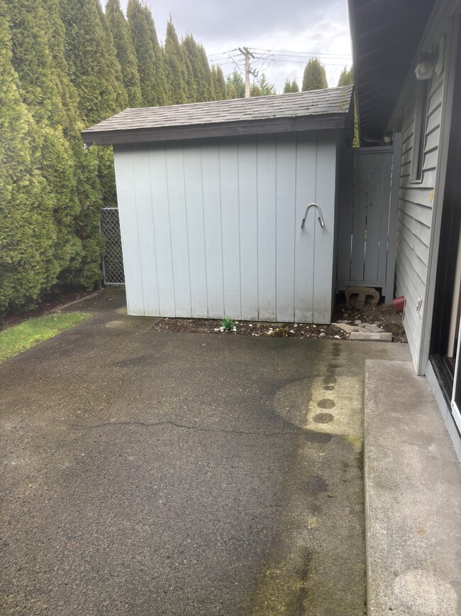 Patio and shed - 11115 24th St E