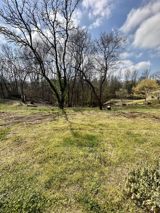 Building Photo - 3 Bedroom Home For Rent Over The River!