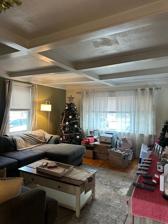 Building Photo - 284 Torrey St