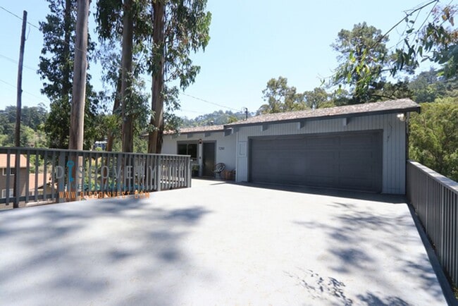 Primary Photo - Contemporary Montclair Home with Forest Views