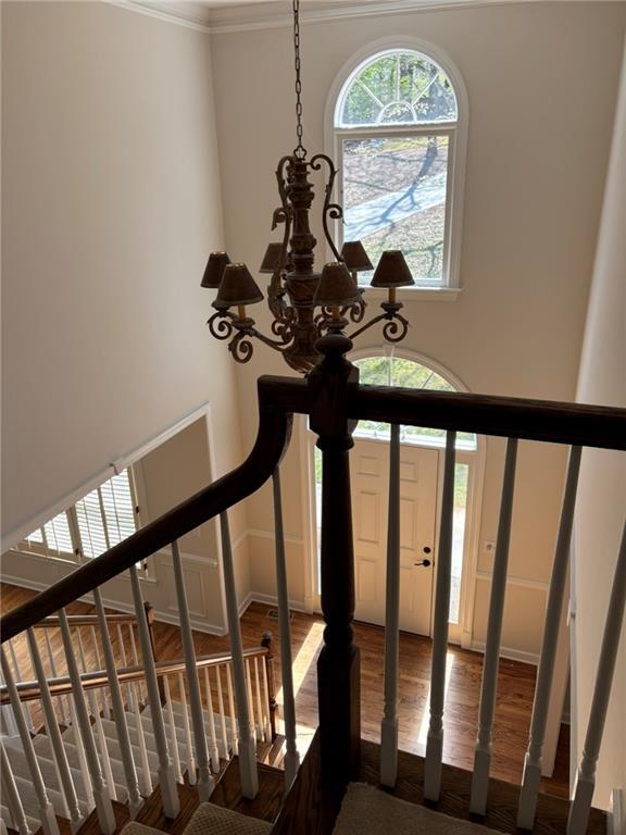 Building Photo - 3667 Tradition Dr