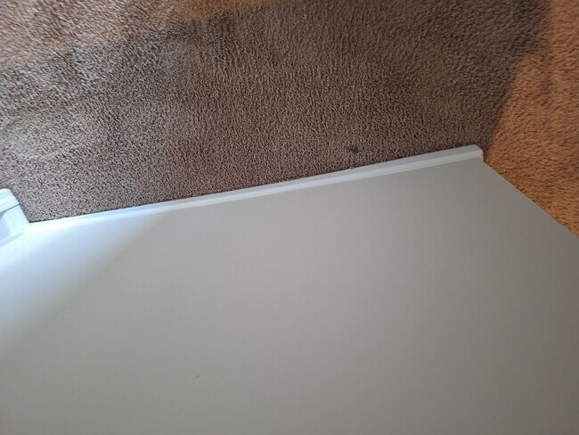 Building Photo - Wonderful Two Story Four Bedroom Home in Northeast Columbia!