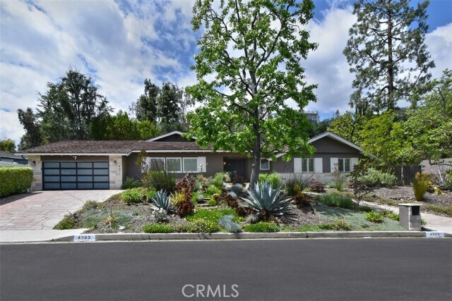 Primary Photo - 4303 Bonavita Dr
