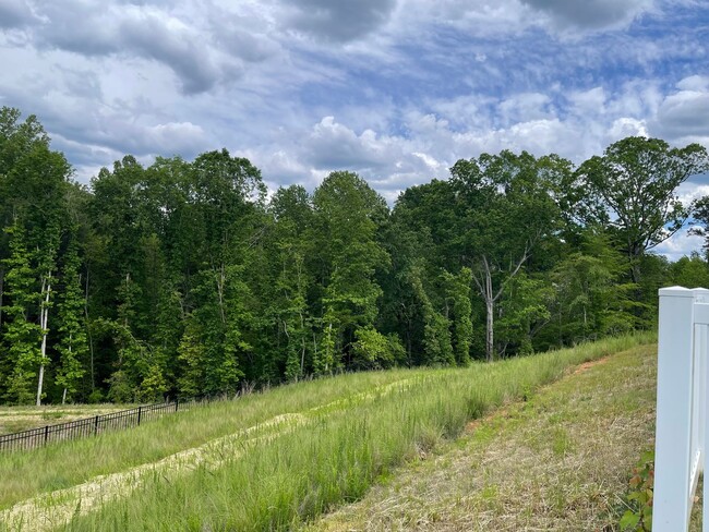 Building Photo - New Construction 4BR 2.5BA | The Falls at ...