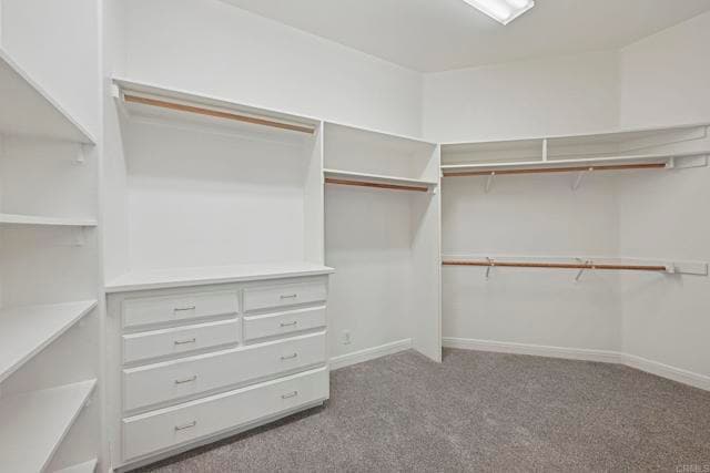 Building Photo - 431 Flores De Oro