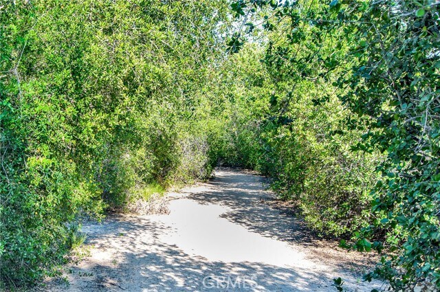 Building Photo - 10 Pantano