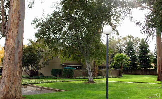 Primary Photo - Twin Oaks