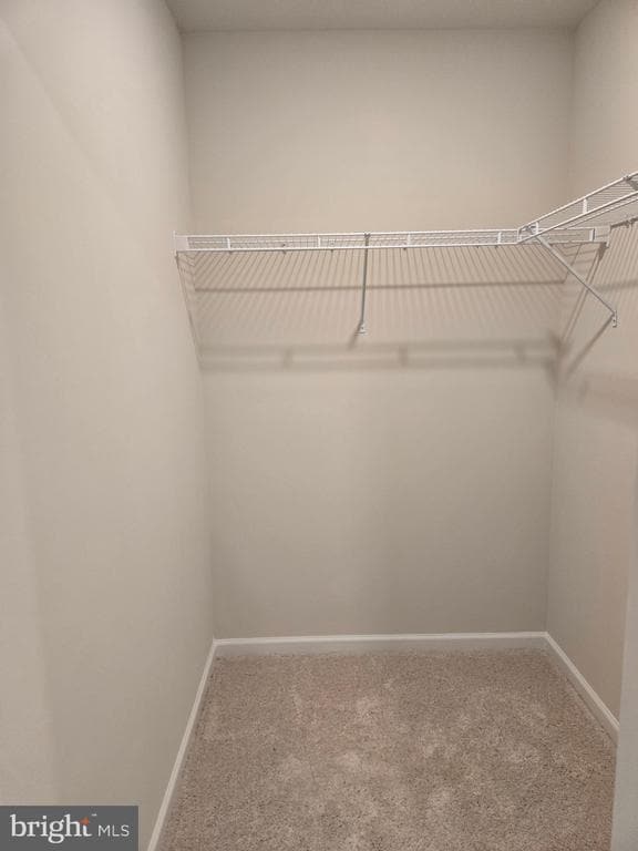 Building Photo - 803 Blue Wing Ct