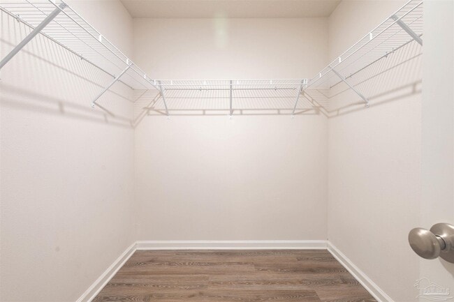 Building Photo - 4119 Whitetail Ln