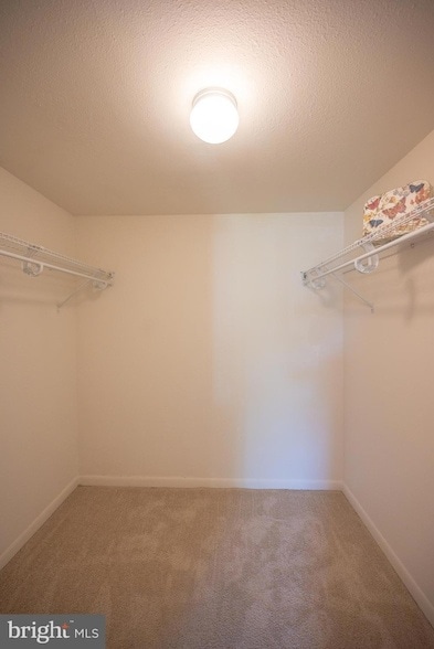 Building Photo - 15301 Beaverbrook Ct