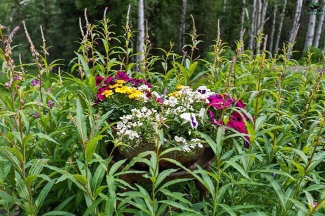 Building Photo - Charming 1-Bedroom Home on the Outskirts o...