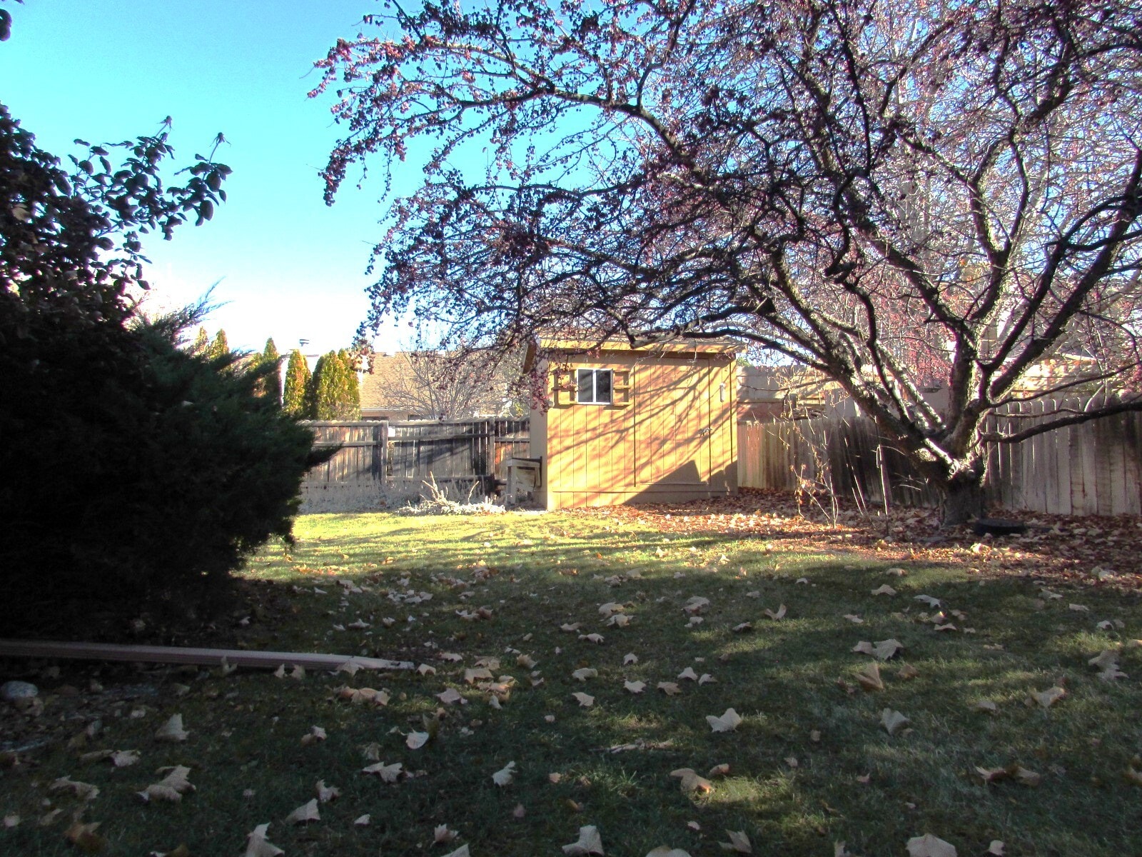 Building Photo - 2677 Cambridge Dr