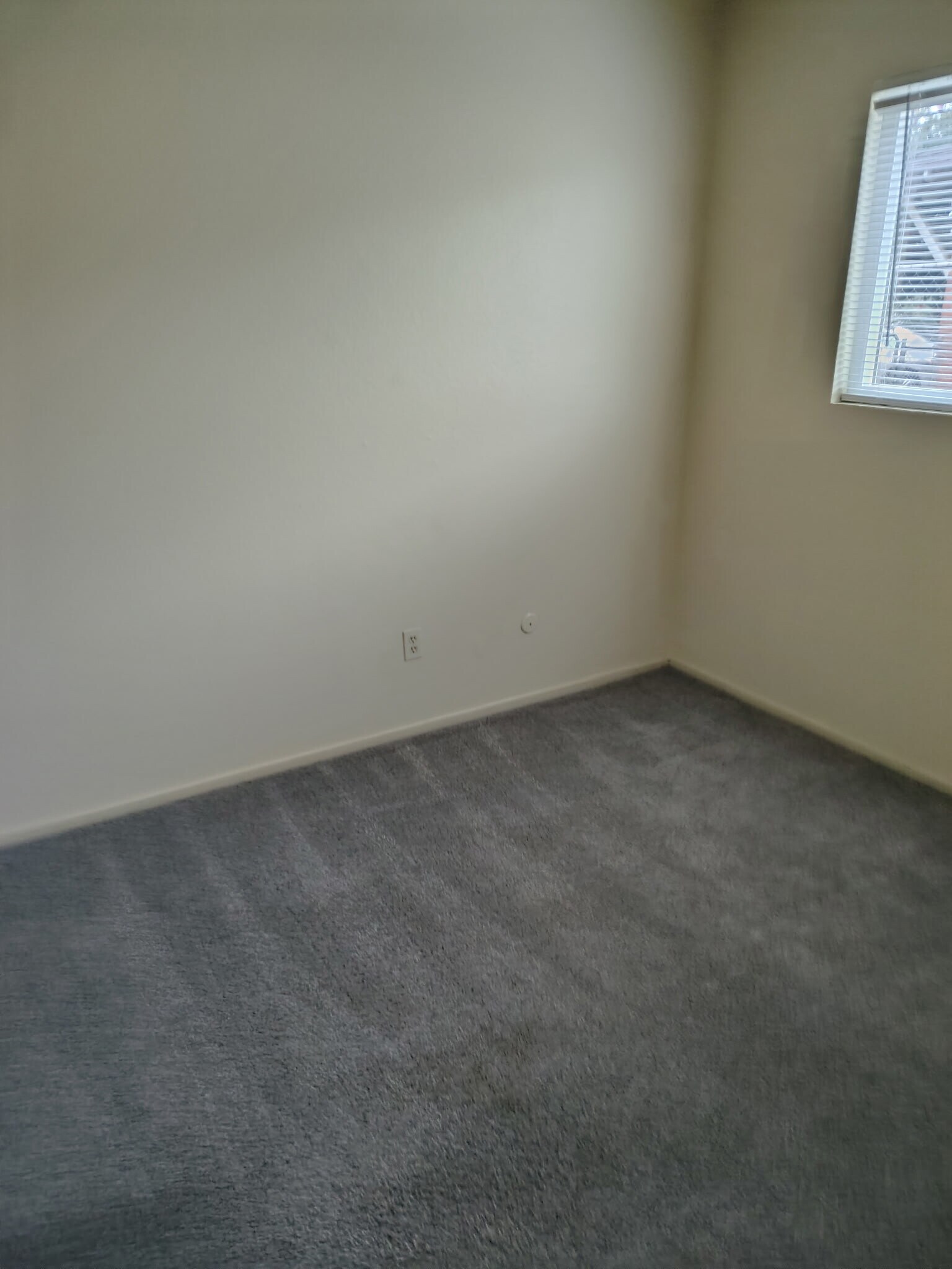 Building Photo - 730 Plumas Ave