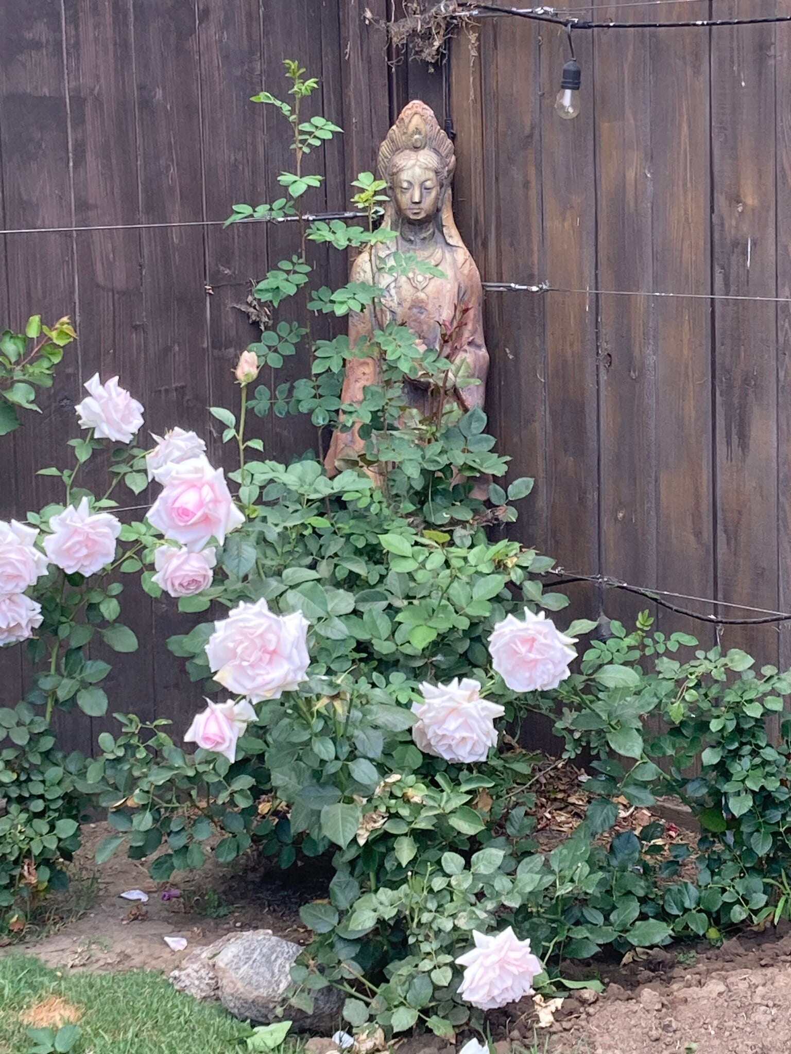 Building Photo - 5744 Calhoun Ave