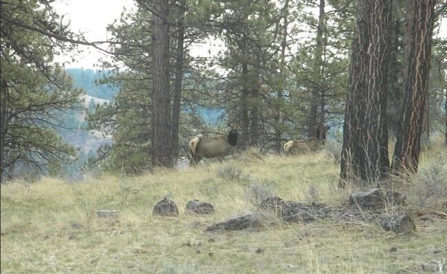 Building Photo - Cozy 1-Bed Cabin on 30 Private Acres – Incredible Views & Outdoor Access