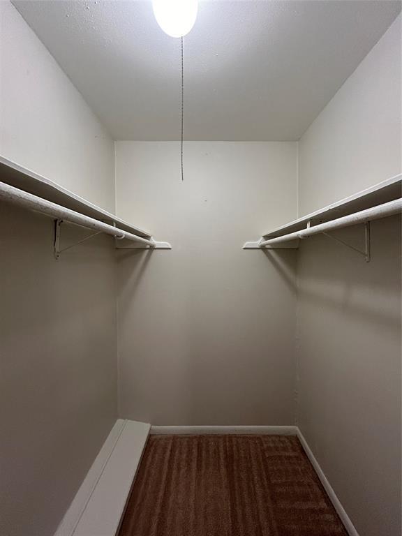 Building Photo - 3902 Mandell St