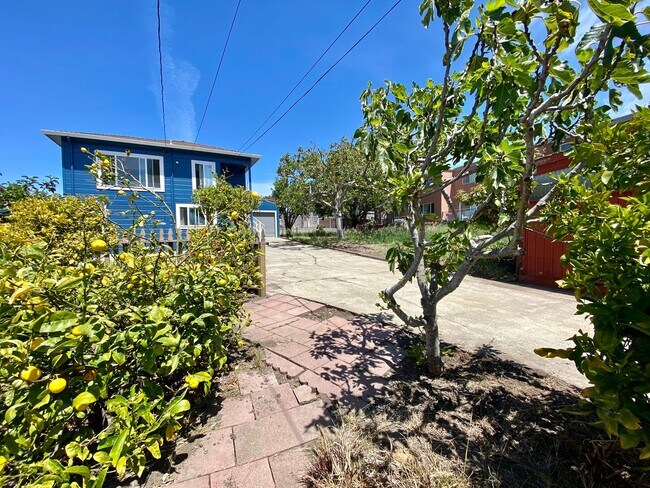 Building Photo - Remodeled 3BR, 2BA with Orchard, Garage & ...