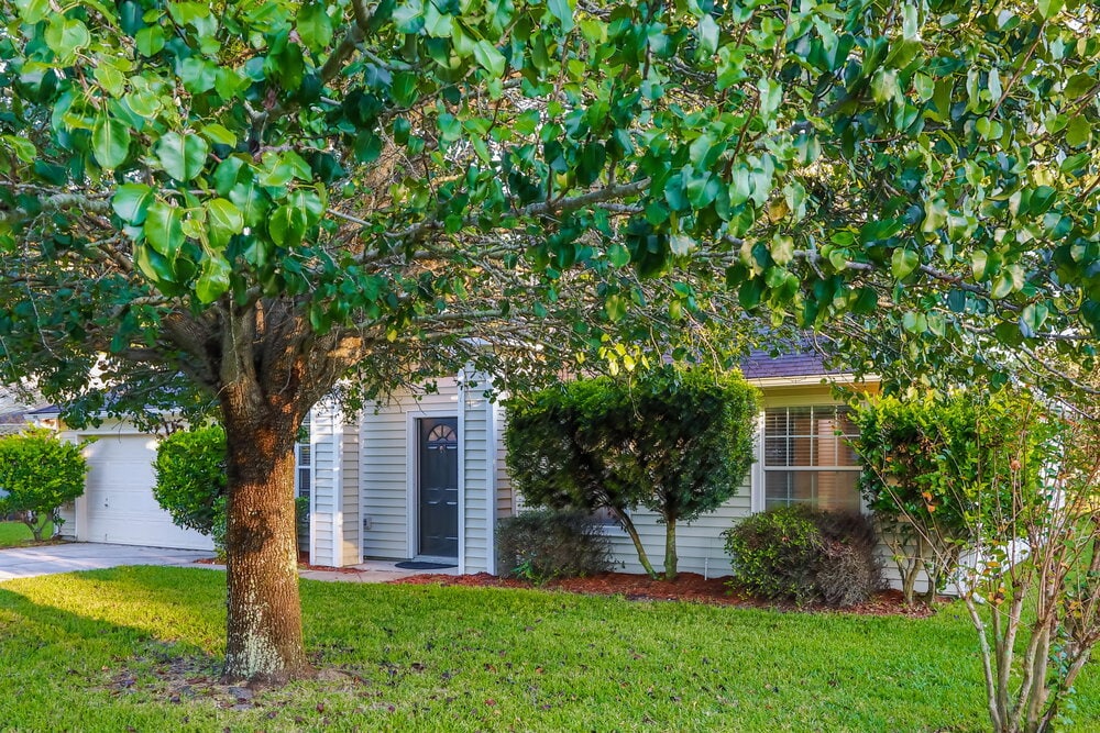 Building Photo - 9099 Rockpond Meadows Dr