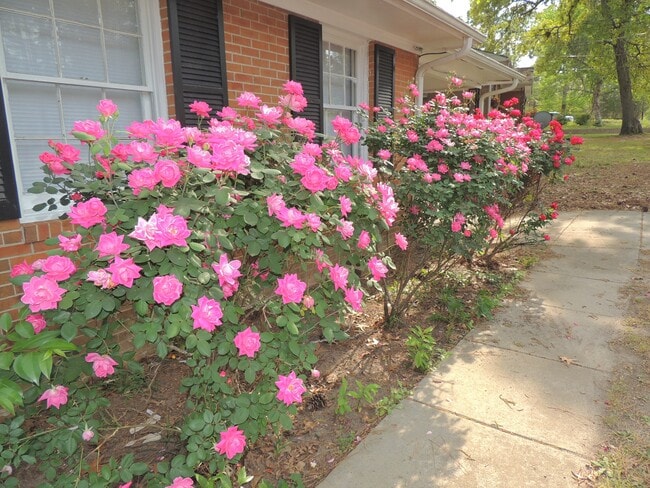 Building Photo - 145 Summerhill Rd