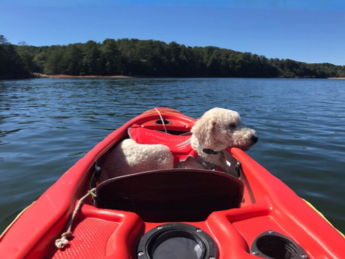 Building Photo - 124 Lake Shore Dr