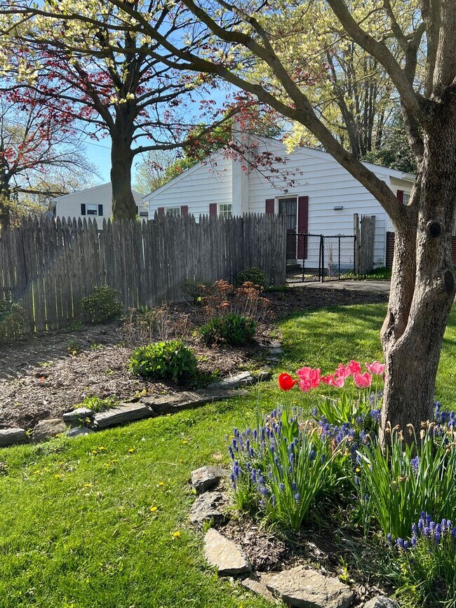 Building Photo - Beautiful 3 BD, 1 BA Lititz Home!