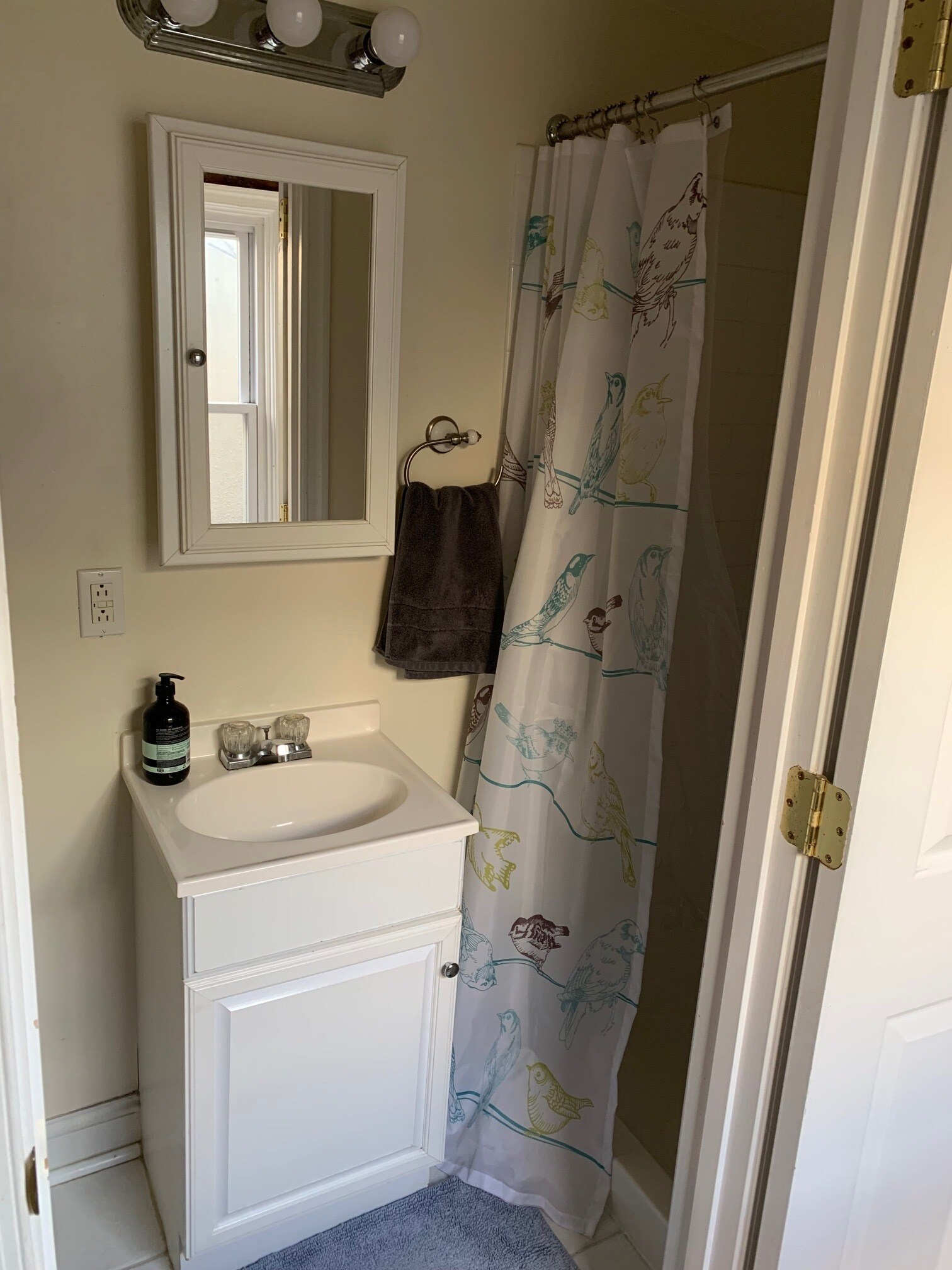 Hall Bathroom 2nd Floor - 18 S Castle St