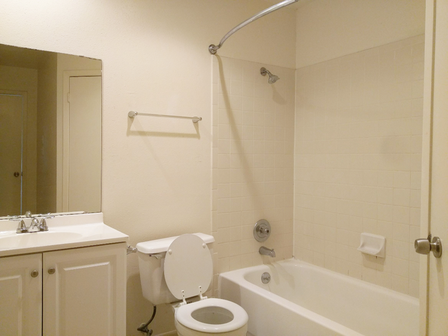 Master Bathroom - 2527 Corian Glen Dr