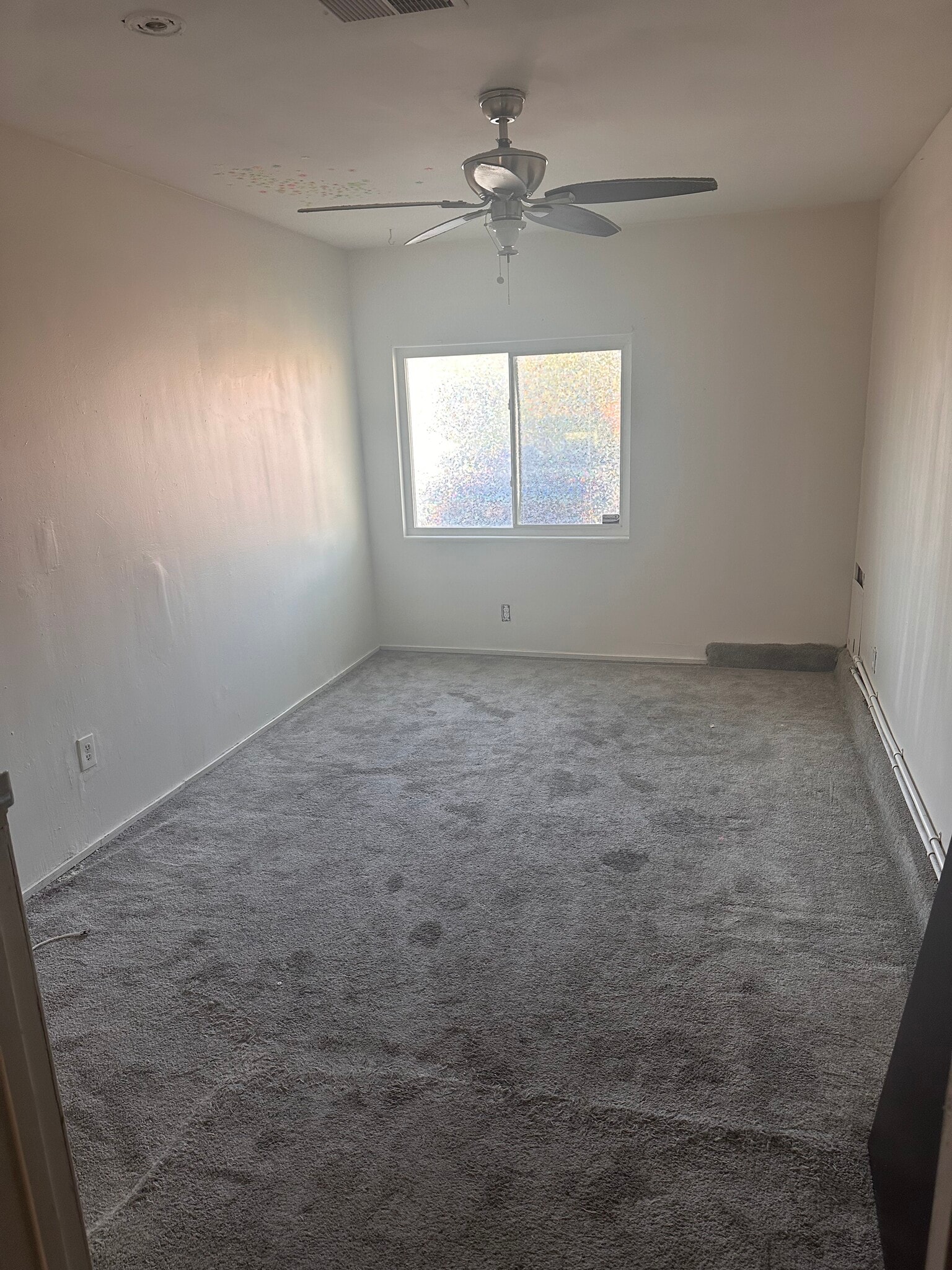 Building Photo - 581 Gladiola St