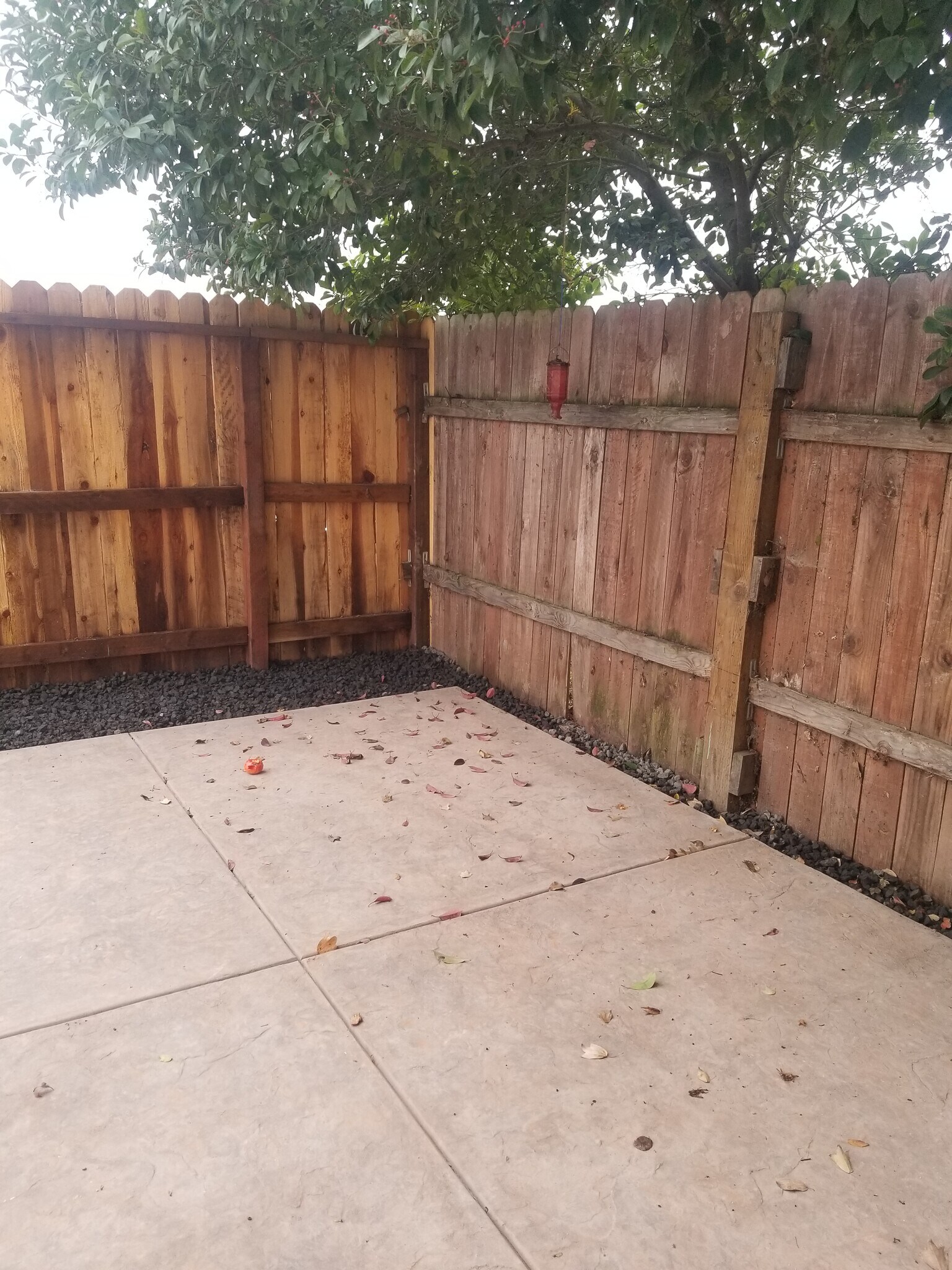 Building Photo - 5300 Janero Way